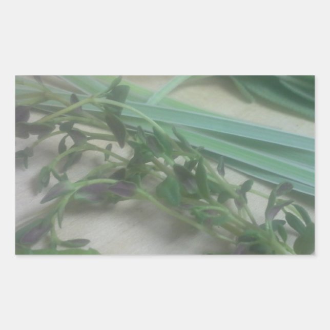 Adesivo Retangular Fotografia de Herbos Antiquados (Frente)