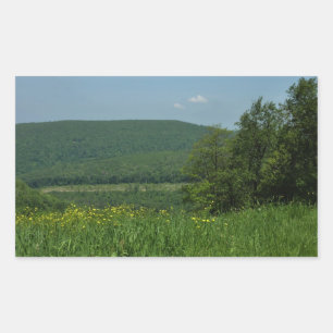 Adesivo Retangular Fotografia de Verão de Laurel Highlands Pensilvâni