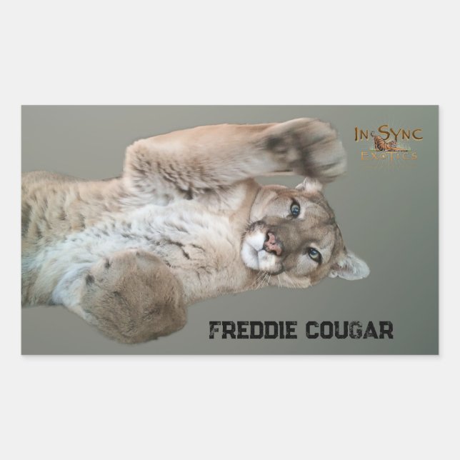 Adesivo Retangular Freddie Cougar (Frente)
