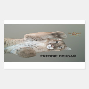 Adesivo Retangular Freddie Cougar