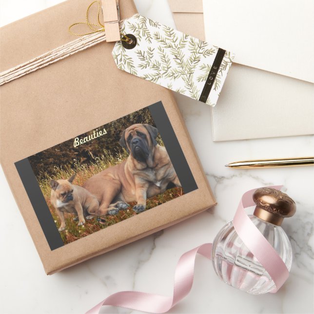 Adesivo Retangular French Bulldog und Mastiff Freunde (Presentear)