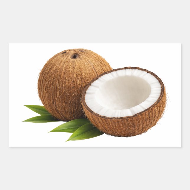 Adesivo Retangular Fresh Coconut With Half Cut Slice Sticker (Frente)
