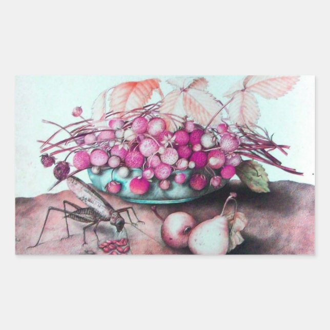 ADESIVO RETANGULAR FRUTAS/MALHAS E PERAS DA SEASON (Frente)