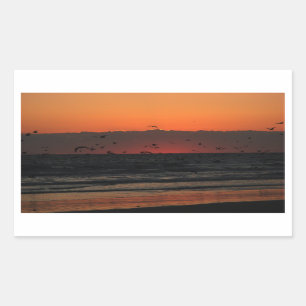 Adesivo Retangular Gaivotas Voando Sobre A Foto Do Levantamento Do So