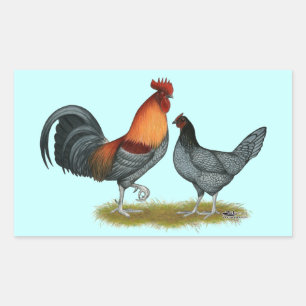 Adesivo Retangular Galinha do azul de Delaware