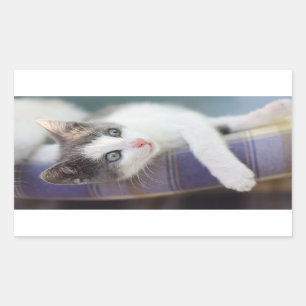 Adesivo Retangular Gatinho doce na cama da xadrez