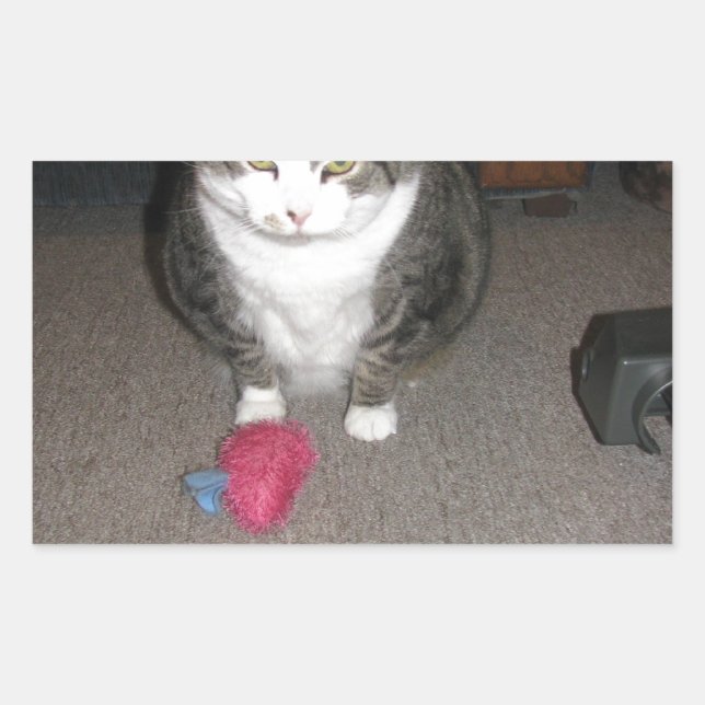 Adesivo Retangular Gato de gordura rabugento Não é divertido (Frente)