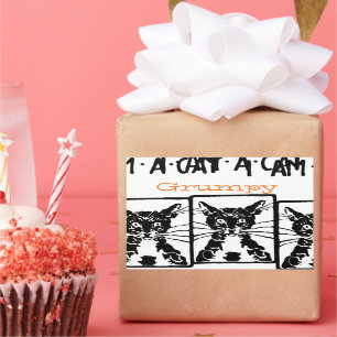 Adesivo Retangular Gato Preto Grumpy para a Pessoa Grumpy ou Gato