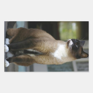 Adesivo Retangular Gato Siamese no patamar