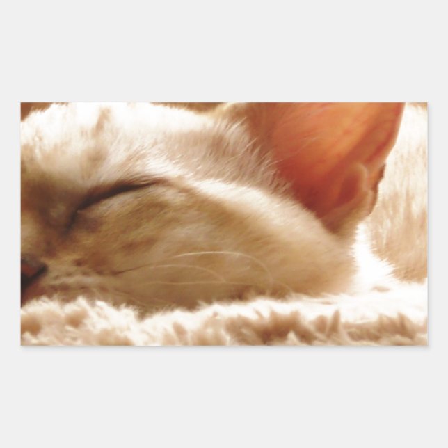 Adesivo Retangular Gato Sonolento (Frente)
