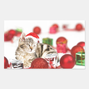 Adesivo Retangular Gato usando enfeite de Natal chapéu vermelho de Pa