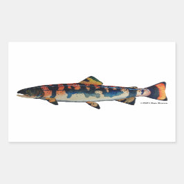 Adesivo Retangular Gila Trout;
