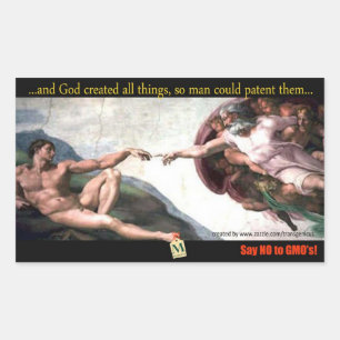 Adesivo Retangular God's Creation Bump Stiker