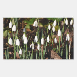 Adesivo Retangular Gotas de neve