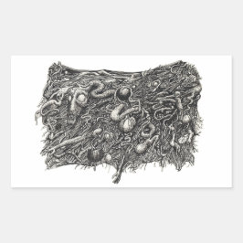 Adesivo Retangular Grotesco Número 1, Plano