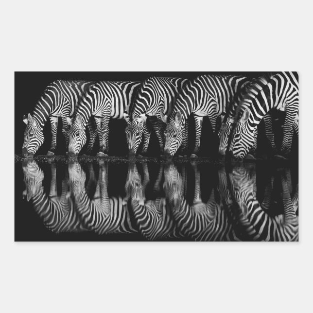 Adesivo Retangular Grupo de Zebras da Planície Bebem Juntos à Noite (Frente)