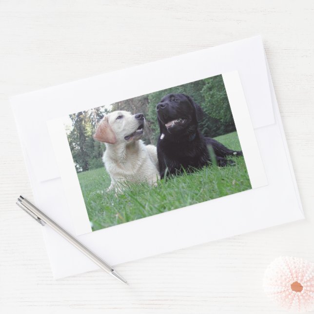 Adesivo Retangular grupo labrador (Envelope)