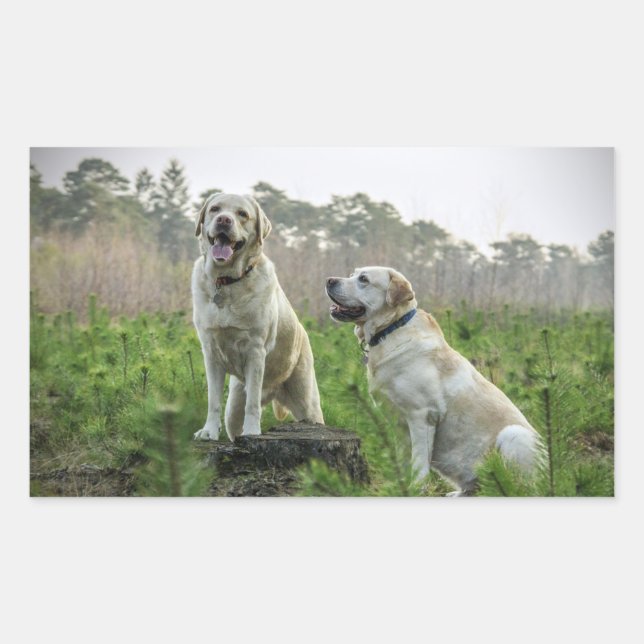 Adesivo Retangular Grupo Yellow Lab (Frente)