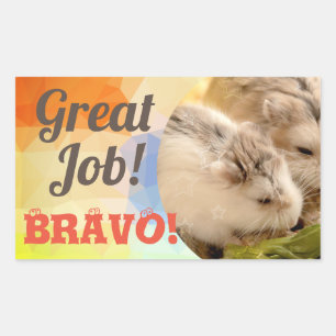 Adesivo Retangular HammyVille - Excelente de Hamster Bonito Bravo