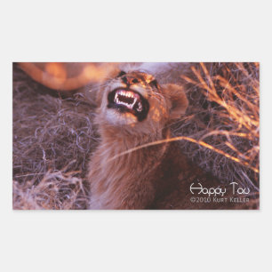 Adesivo Retangular Happy Tau