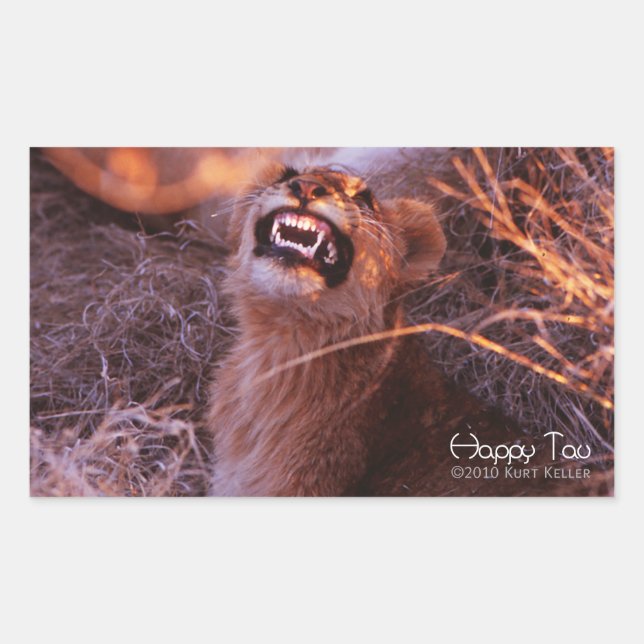 Adesivo Retangular Happy Tau (Frente)