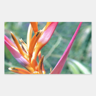 Adesivo Retangular Heliconia Flower melhorada