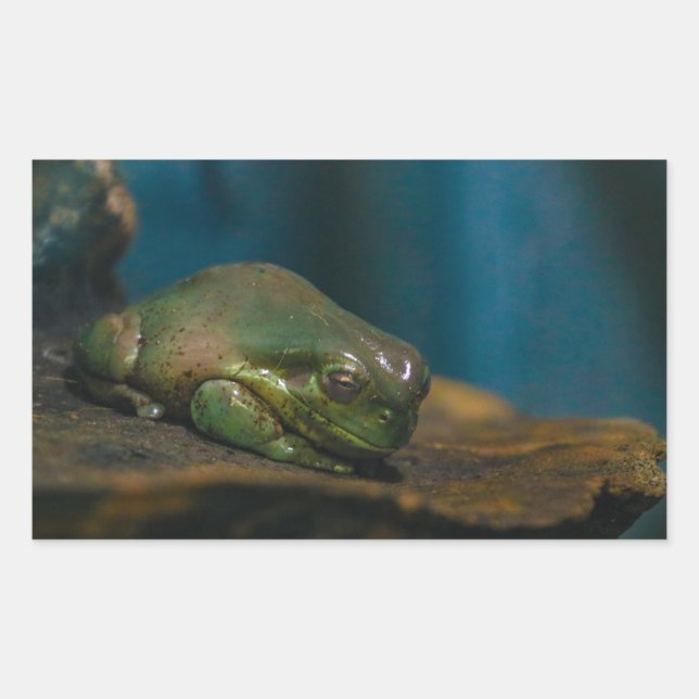 Adesivo Retangular Hora do Nap (Frente)