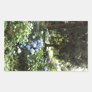 Adesivo Retangular Hydrangea Floral Trees Nature Fotografia
