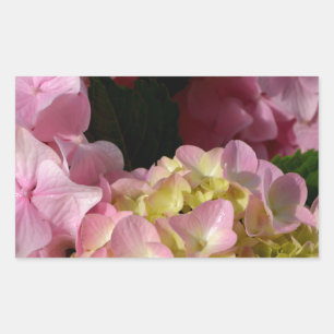 Adesivo Retangular Hydrangeas Rosa e Cream