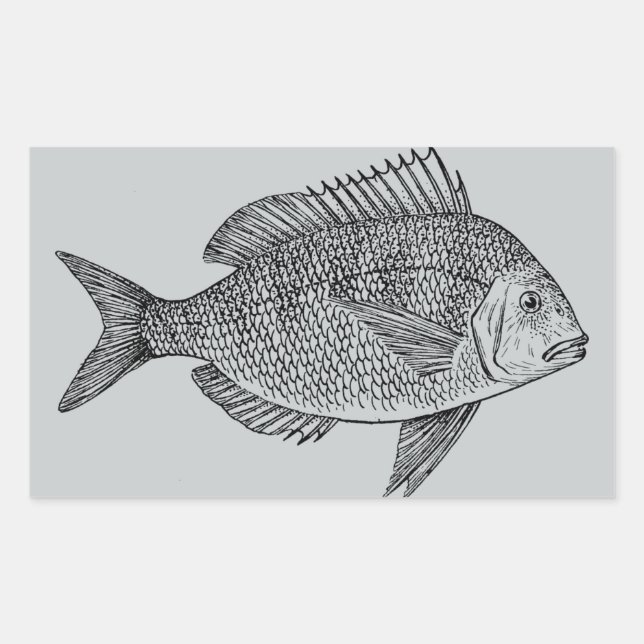 Adesivo Retangular Ilustração de arte marinha náutica de peixes de vi (Frente)