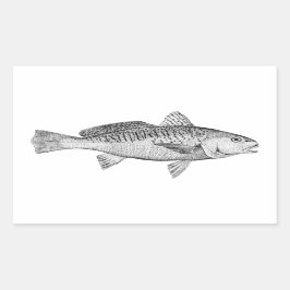 Adesivo Retangular Ilustração de Vintage de Croaker Atlântico