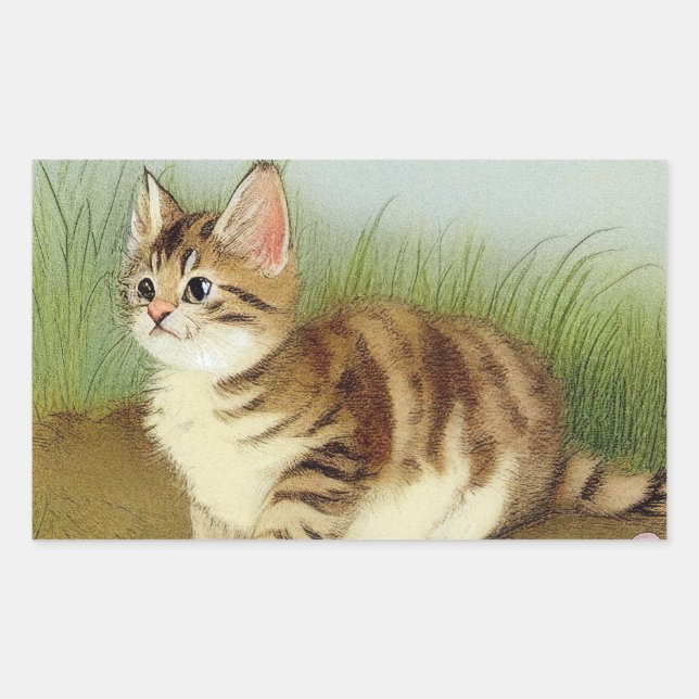 Adesivo Retangular Ilustração Vintage Kitten com Flores (Frente)