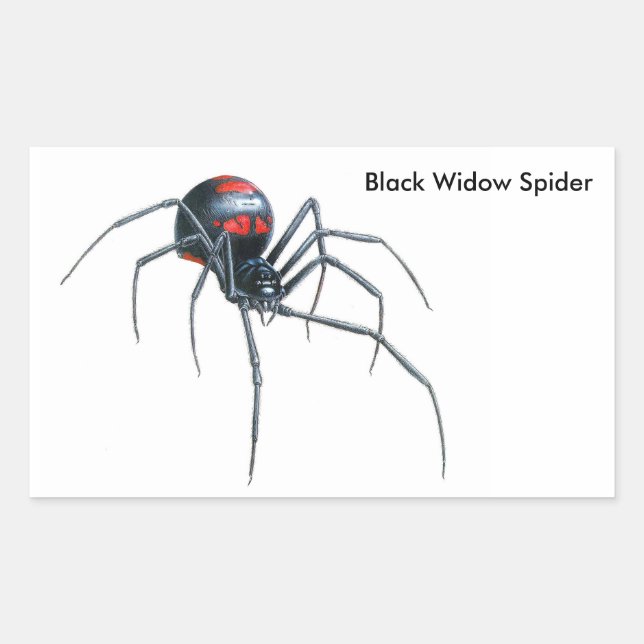 Adesivo Retangular Imagem de aranha para retângulos-palitos-brilhante (Frente)