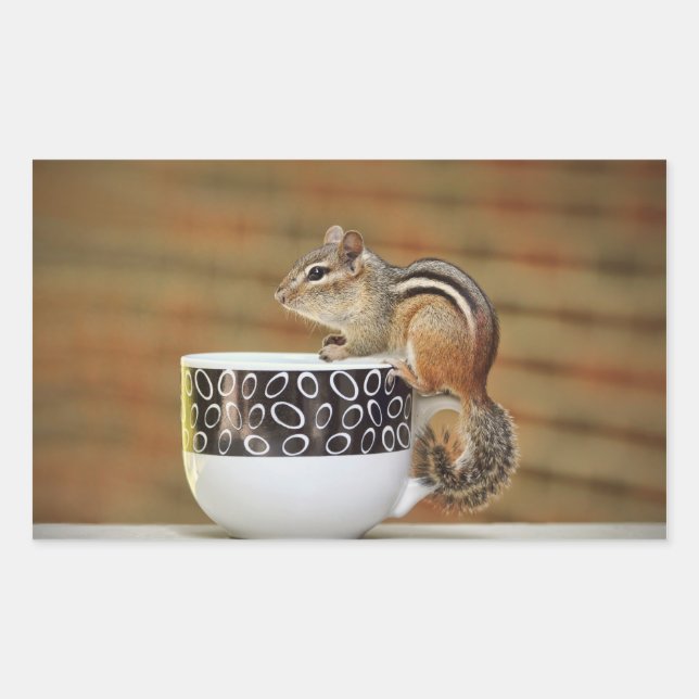 Adesivo Retangular Imagem de Chipmunk com Taça de Café Latte (Frente)