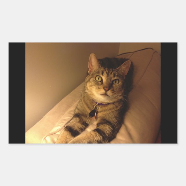 Adesivo Retangular Indigo Model Pose (Frente)