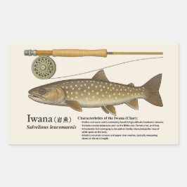 Adesivo Retangular Iwana (Salvelinus leucomaenis) – English Illust