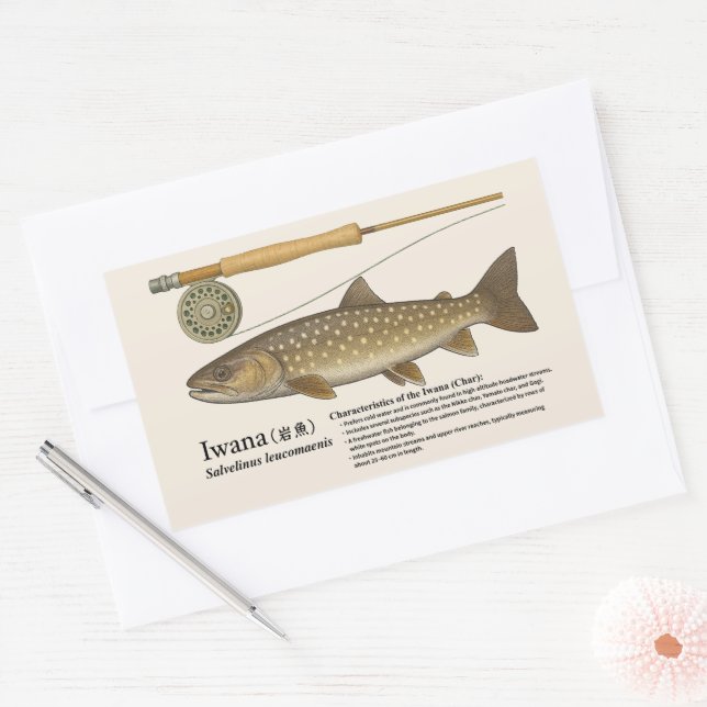 Adesivo Retangular Iwana (Salvelinus leucomaenis) – English Illust (Envelope)