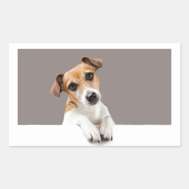 Adesivo Retangular Jack Russell Puppy Dog Cute Adorável Sweet (Frente)
