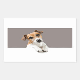 Adesivo Retangular Jack Russell Puppy Dog Cute Adorável Sweet