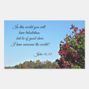 Adesivo Retangular John 16:33 No mundo você terá...