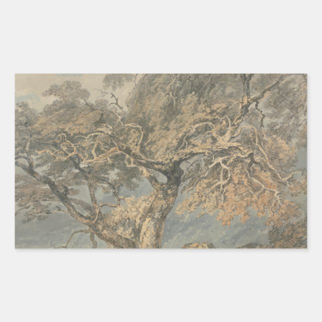 Adesivo Retangular Joseph Mallord William Turner - Uma Árvore Excelen (Frente)