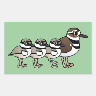 Adesivo Retangular Killdeer & três pintinhos