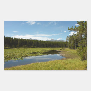 Adesivo Retangular Lago dos Cisnes I no Parque Nacional Grand Teton