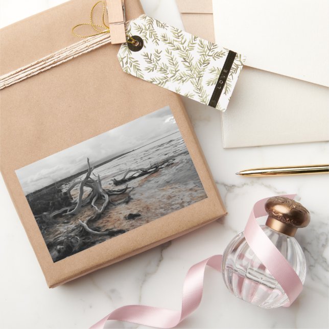 Adesivo Retangular Lago Tyrrell Natural Forces (Presentear)