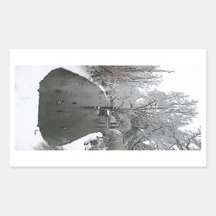 Adesivo Retangular lagoa do pato