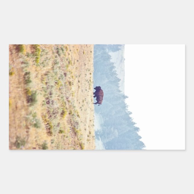 Adesivo Retangular Lamar (Frente)