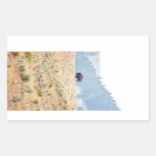 Adesivo Retangular Lamar