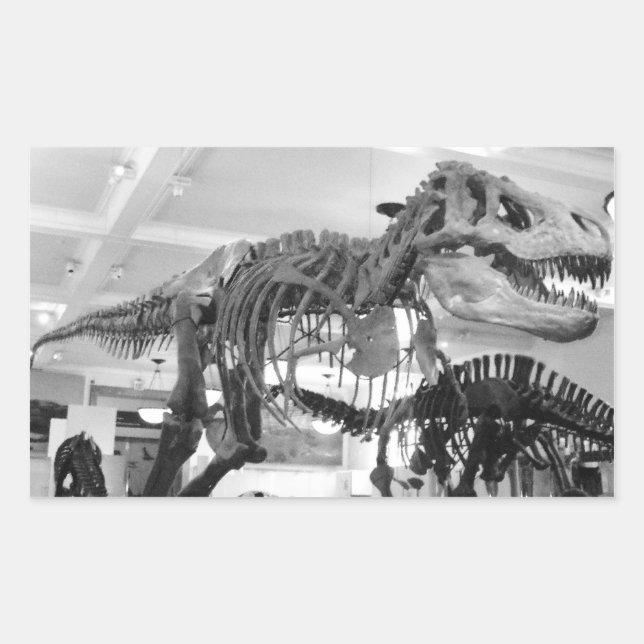 Adesivo Retangular Lápis de Esqueleto T-Rex (Frente)