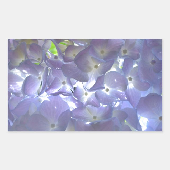 Adesivo Retangular Lavanda Hydrangeas (Frente)