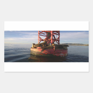 Adesivo Retangular Leões do Mar que se Relaxam em uma Buoy no Ponto